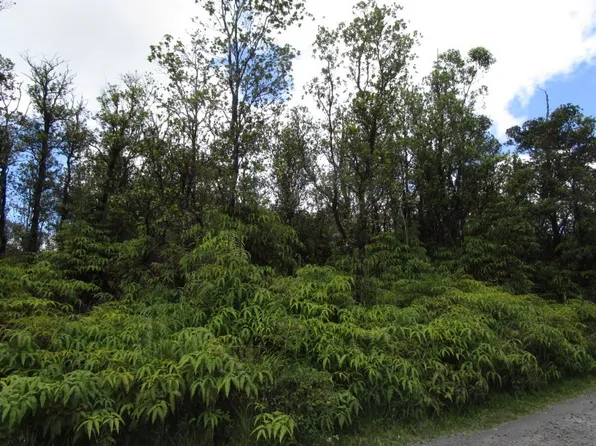 Jungle King Ave Lot 57, Volcano, HI 96785