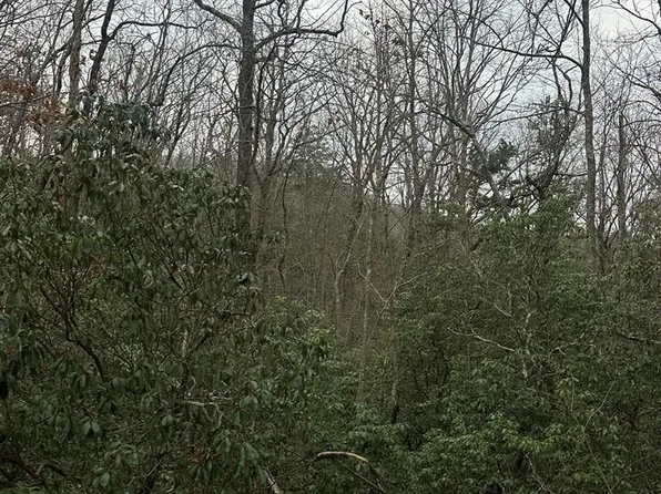 13 Sapphire Rdg, Blue Ridge, GA 30513