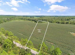 PARCEL 4 Mineral Springs Rd, Jay, FL 32565