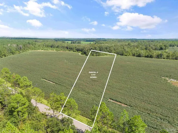 PARCEL 4 Mineral Springs Rd, Jay, FL 32565