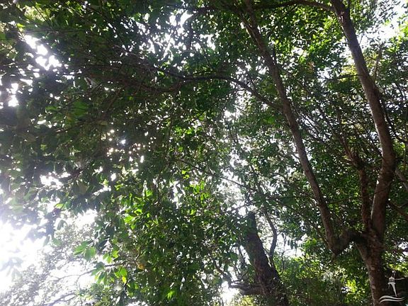 3rd image of 456 Kitty Hawk Woods