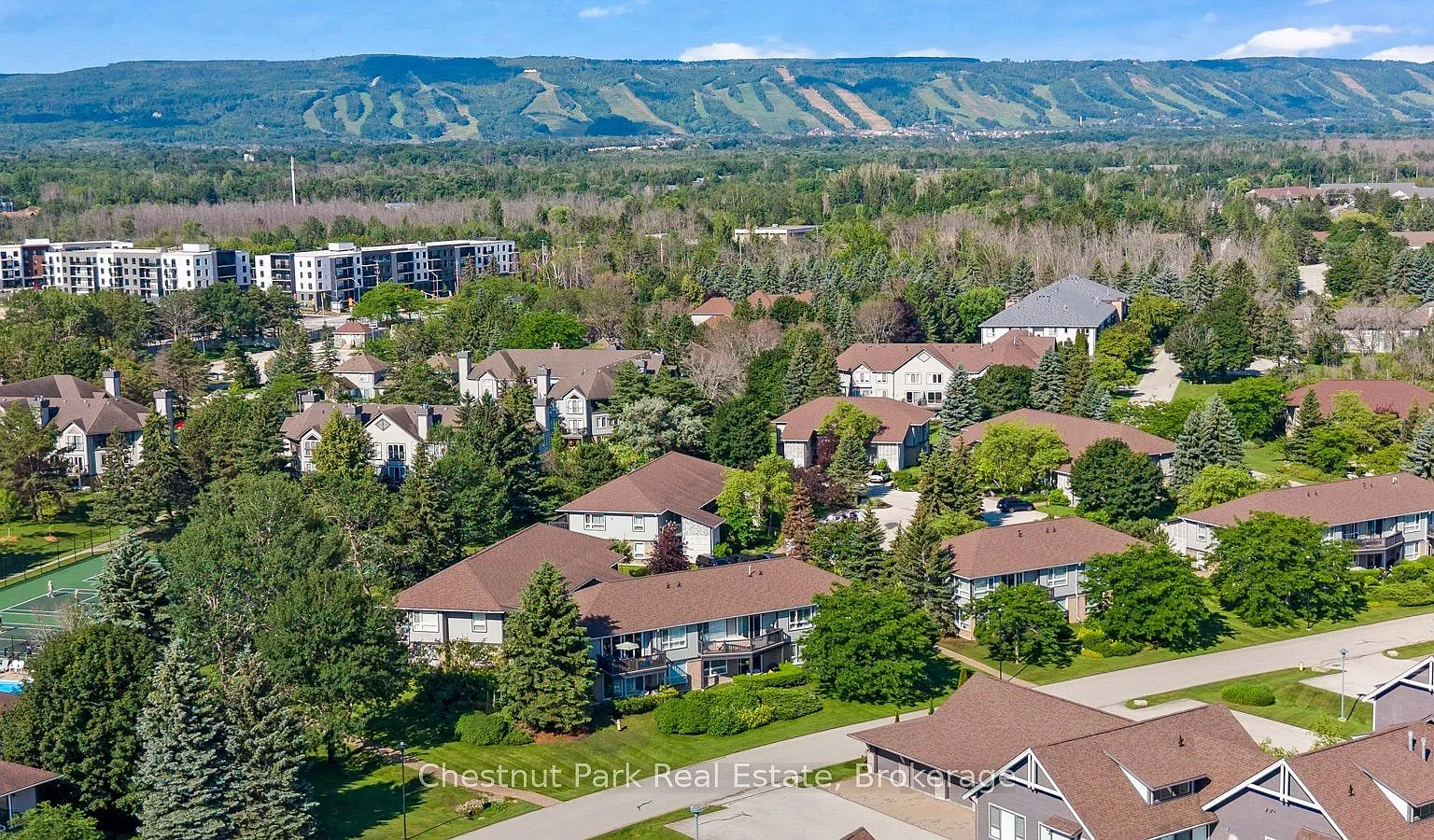 3 bed, $3,500 — Photo 1