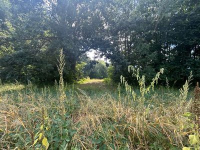 0 V/l #M66, Athens, MI, 49011