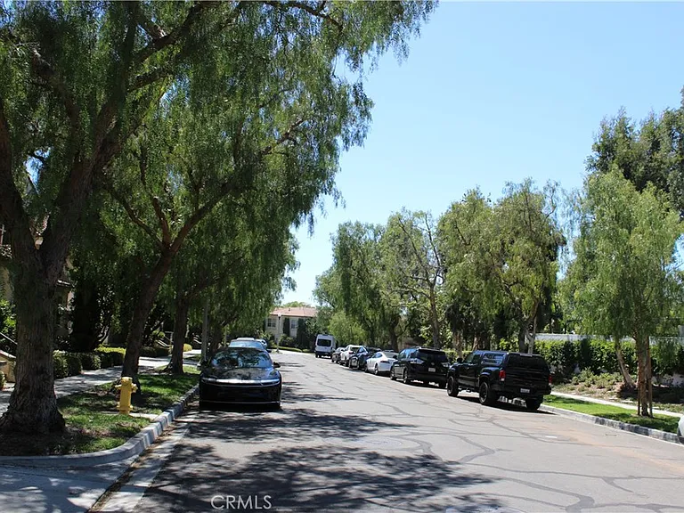 48 Nature — Photo 3