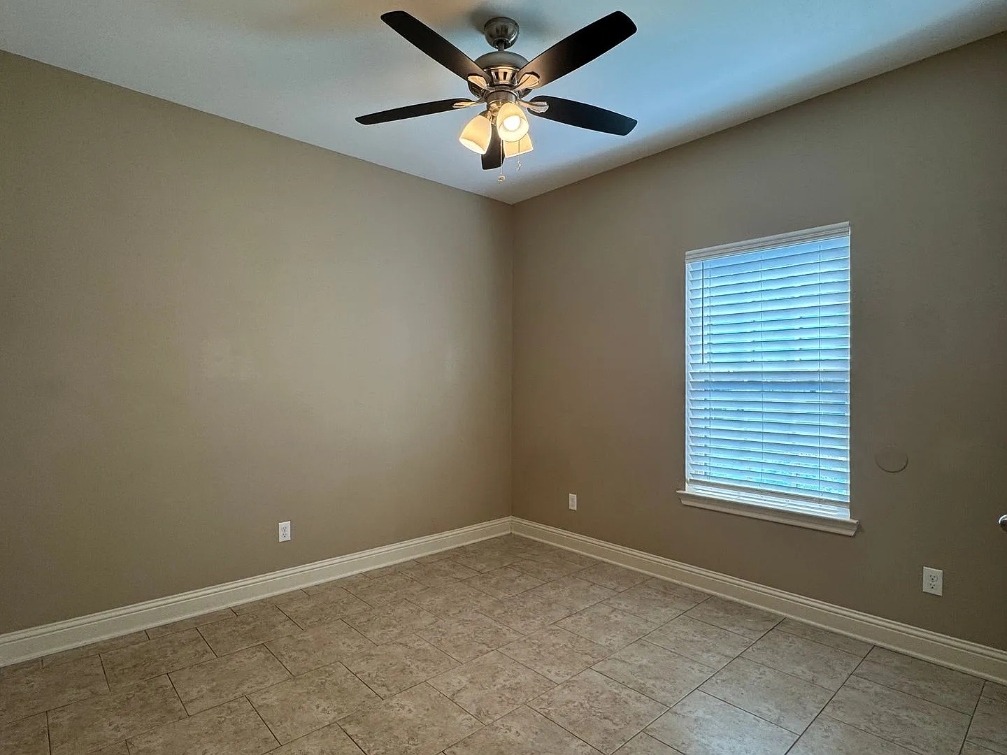 Shadow Oak — Photo 4