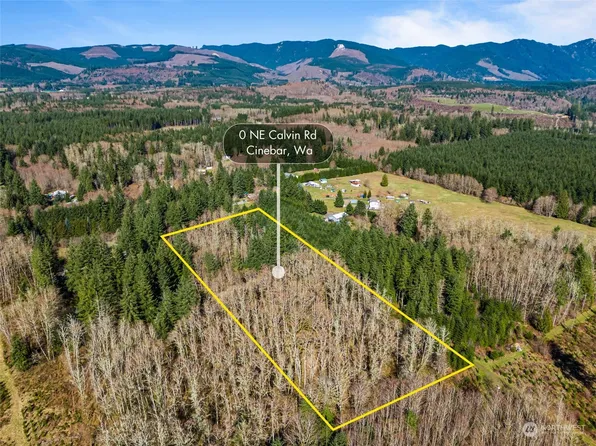0 Calvin Road, Onalaska, WA 98570