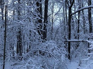 Vaud Ct, Reed City, MI 49677