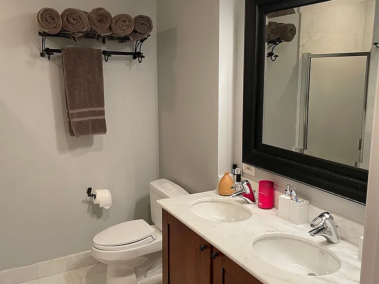 561 W Briar Pl — Photo 11