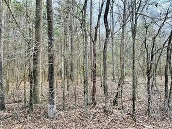0 German Bayou Rd #1, Marksville, LA 71351