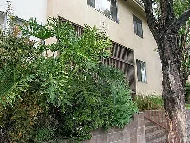 1311 N Fairfax Ave #18 — Photo 15