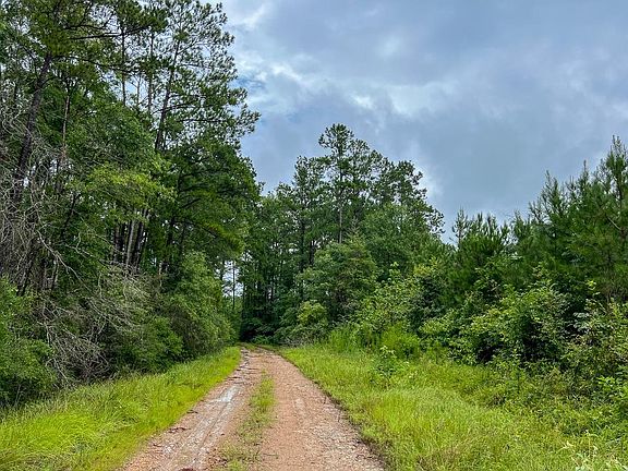 T45 Easement Rd #355, Groveton, TX 75845 | MLS #55984907 | Zillow