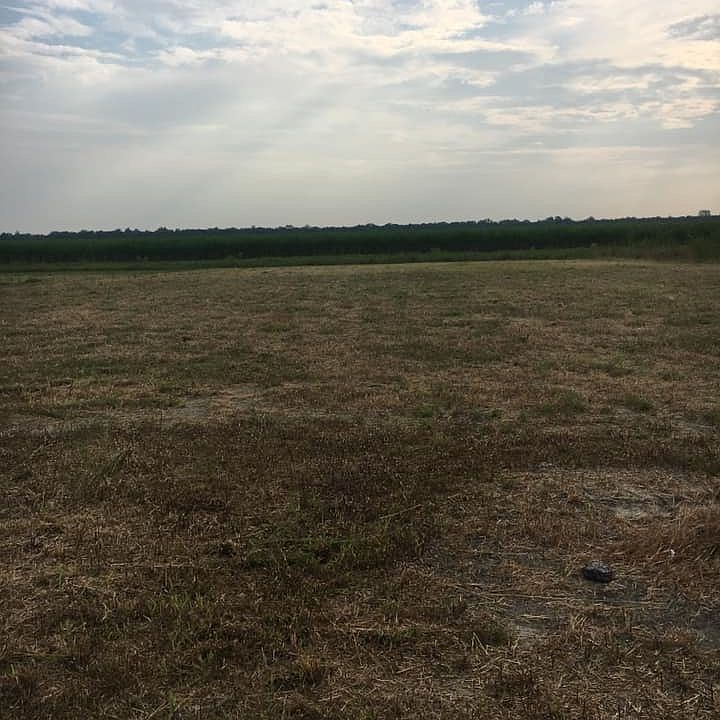 1st image of Phase 6 Bellevue Lks #69