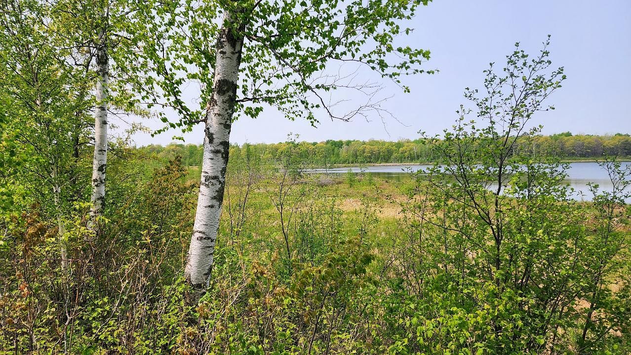 12190 Spring Rd SW, Pillager, MN 56473 MLS 6439269 Zillow