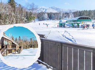 48 Burkeside Rd UNIT 110, East Burke, VT 05832