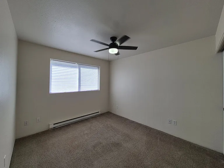 337fi — Photo 21