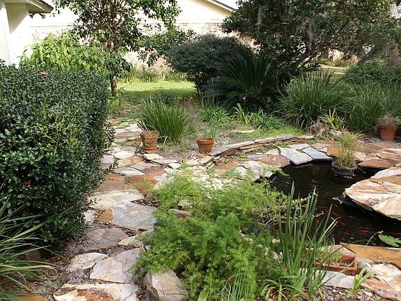 Koi pond