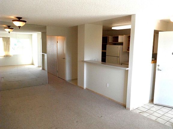 Living room & kitchen