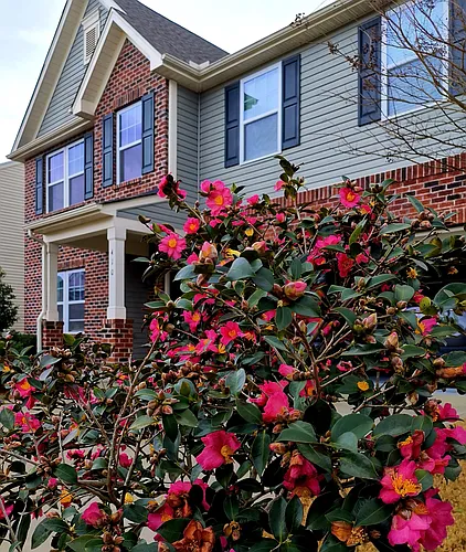 410 Excalibur Dr Photo 1