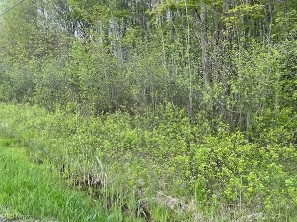 Brockway Rd, Painesville, OH 44077