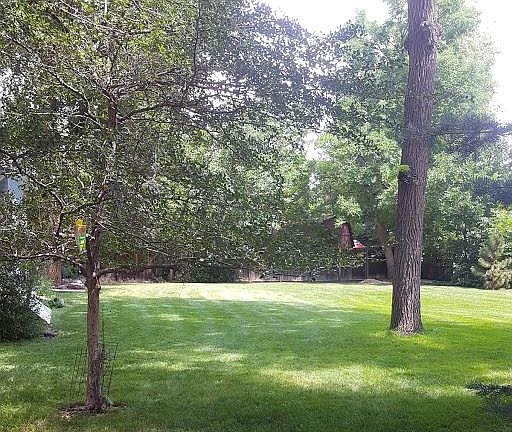 Large side yard for yard games. Equipment for volleyball is provided if requested.