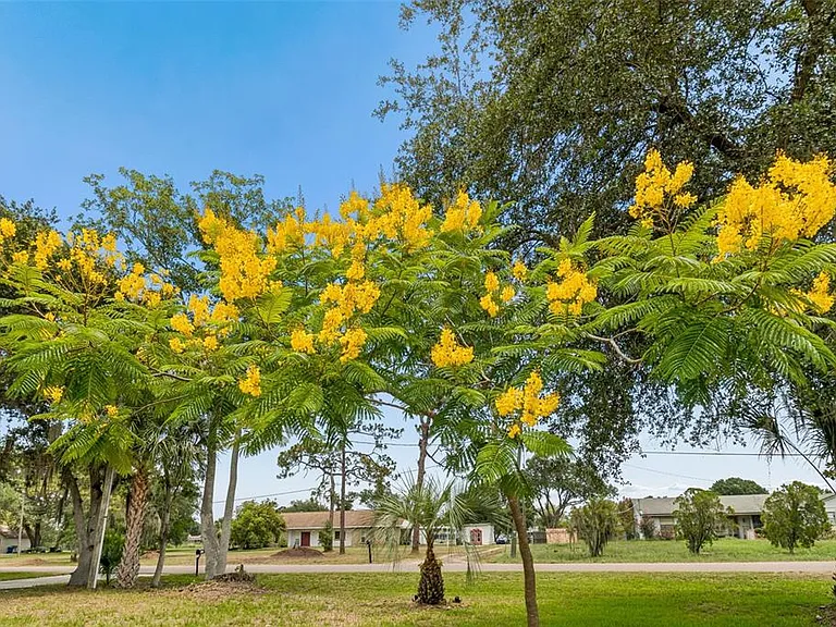 9619 Springbrook Dr — Photo 49