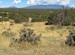 463 Rio Cucharas Chase #2-335-339, Walsenburg, CO 81089