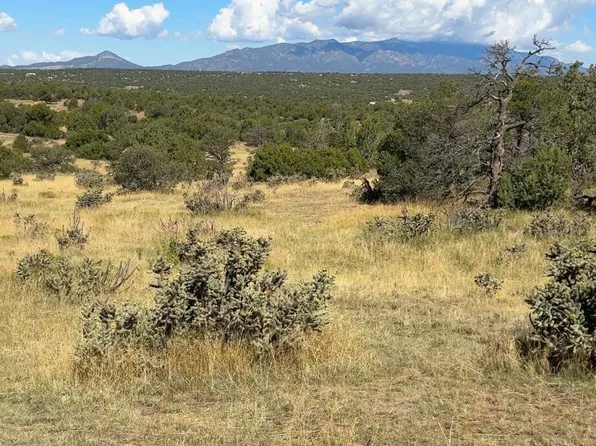 463 Rio Cucharas Chase #2-335-339, Walsenburg, CO 81089