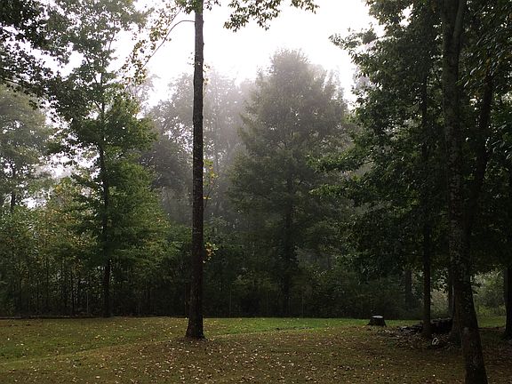 View of backyard 2015