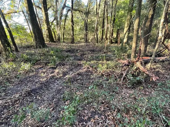 NW 13th Ave, Newberry, FL 32669