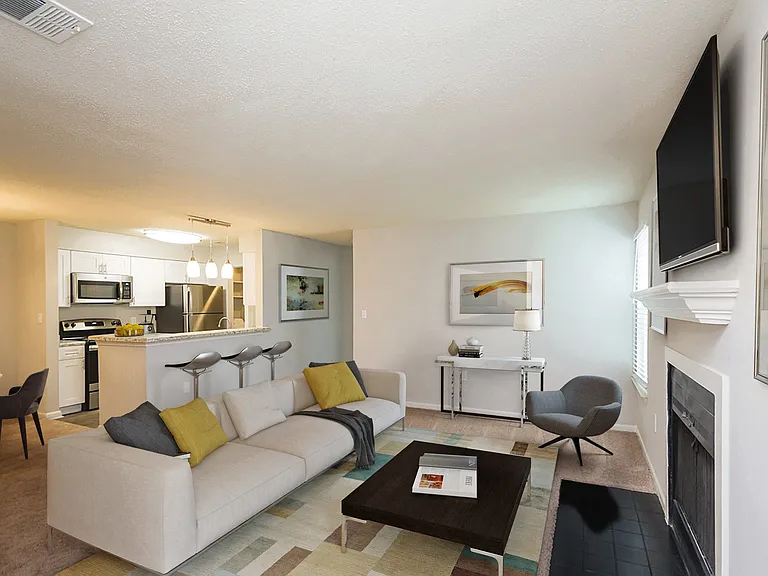 Palmetto Place Apartments — Photo 8