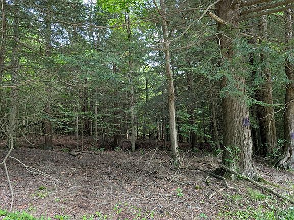 3rd image of 0 Jemison Rd