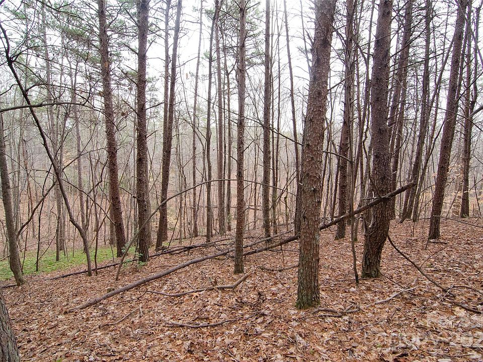 2nd image of 0 Rainbow Rapids Rd