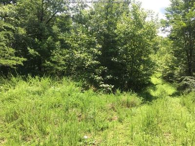 0 Elk Fork Rd, Gay, WV, 25244