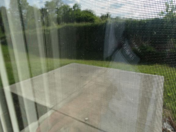 backyard patio with privacy