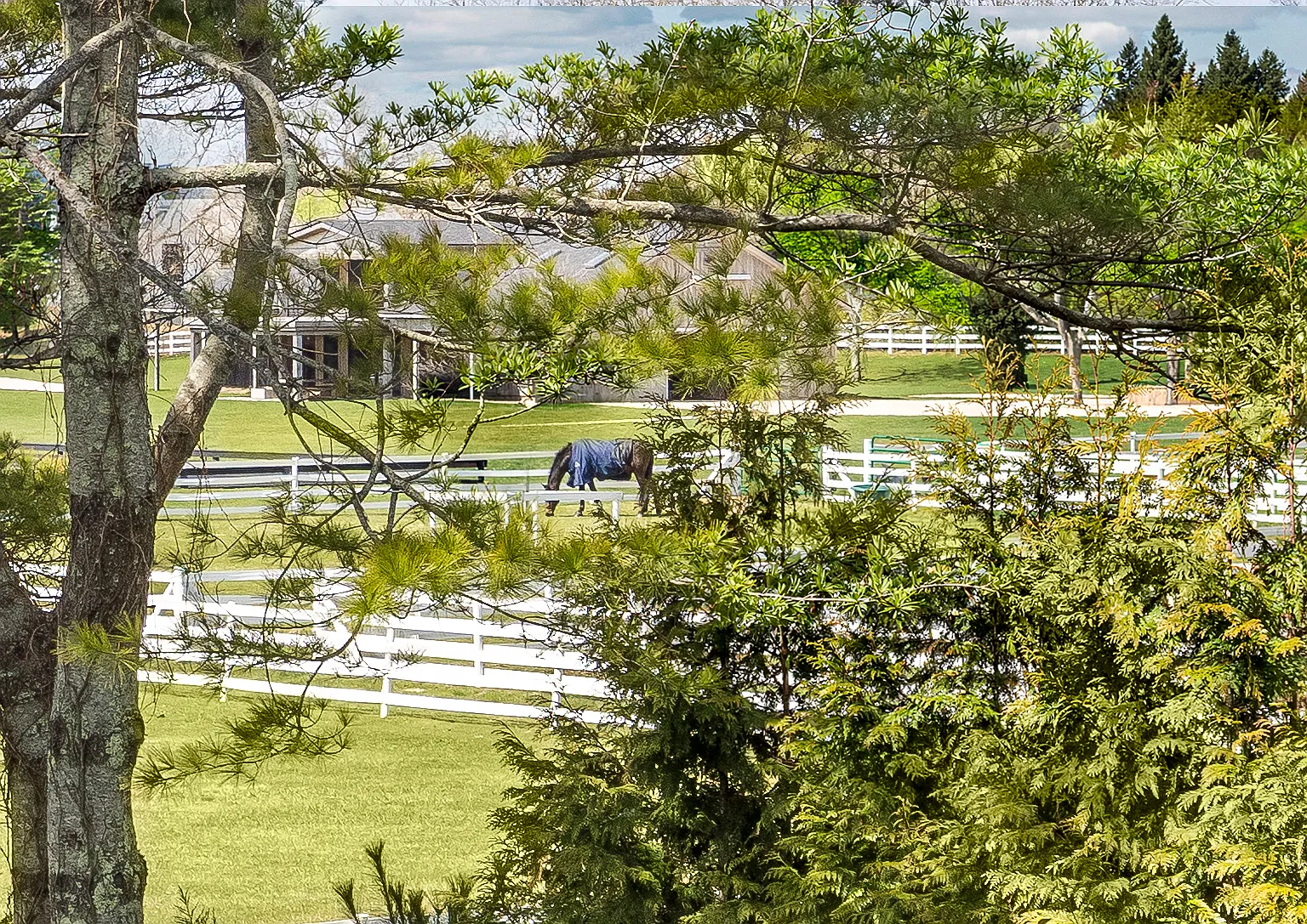 Summer Sanctuary in Wainscott South Overlooking Equestrian Estate — Photo 2