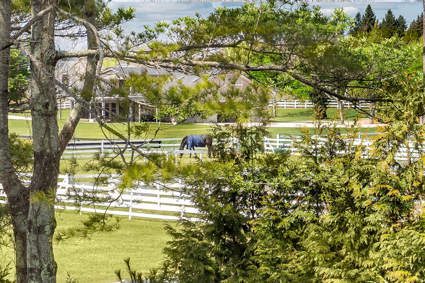  Equestrian Estate Views