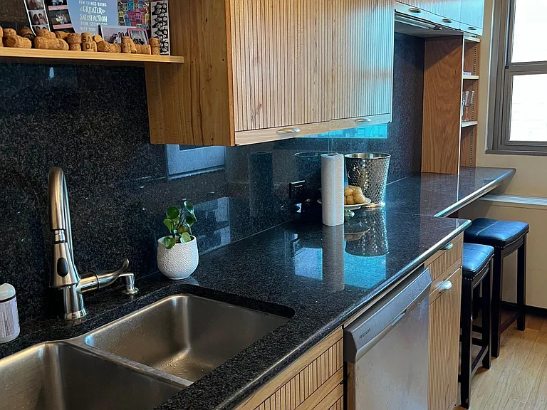535 N Michigan Ave #3108 — Photo 6