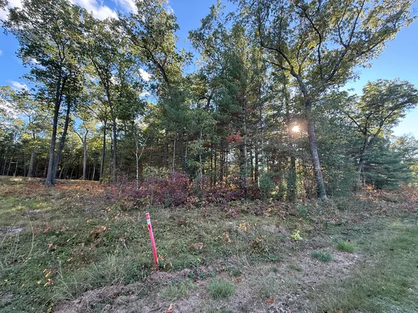 1127 Chicago Dr Lot 19, Whitehall, MI 49461