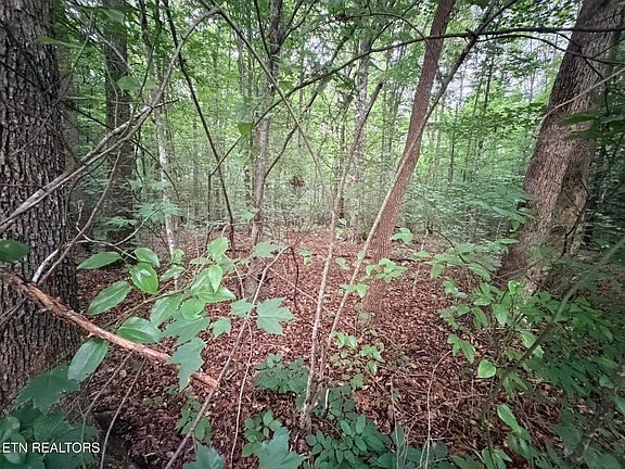 3rd image of LOT 3 Evergreen Dr Lot 3