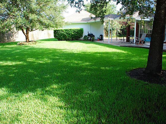 Huge Backyard