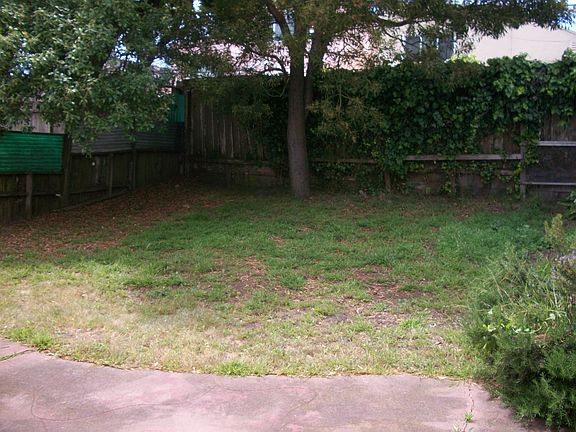 Large Backyard