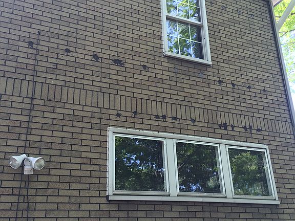 5th image of 234 S Arlington St