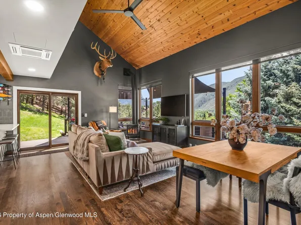 56 Booth Ln, Basalt, CO 81621