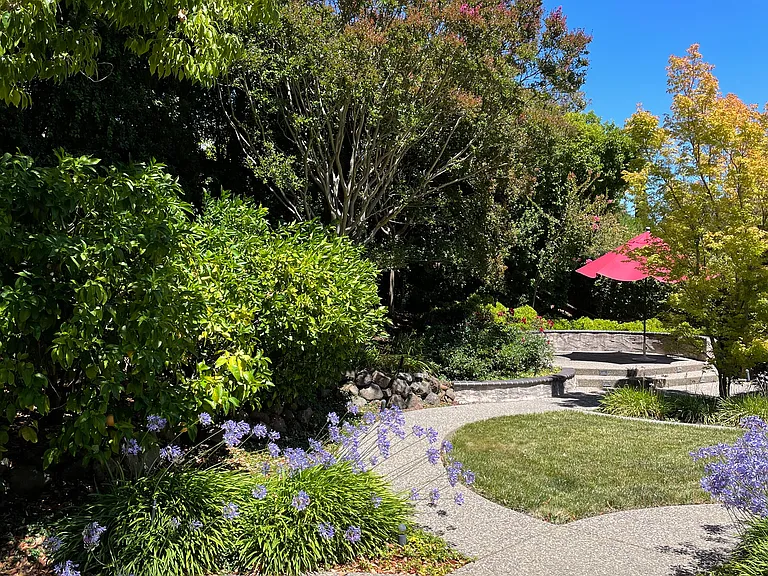 Backyard landscape with hardscaping and matured shrubs for privacy.