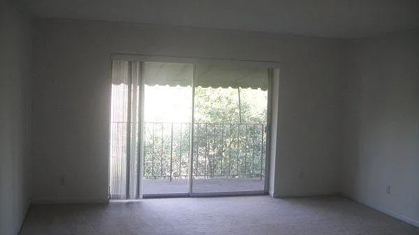 Wooded View from Living Room