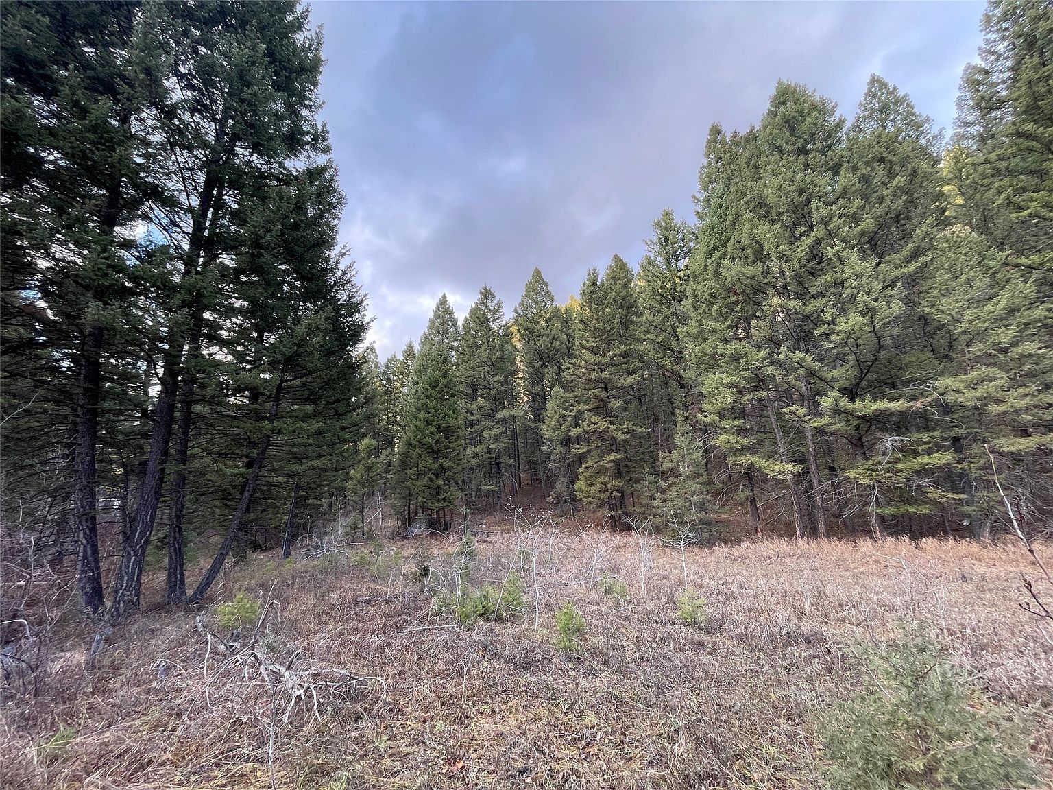 41 Maxville Rd, Philipsburg, MT 59858 MLS 30016706 Zillow