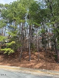 2nd image of 111 Bolinwood Dr Lot 9