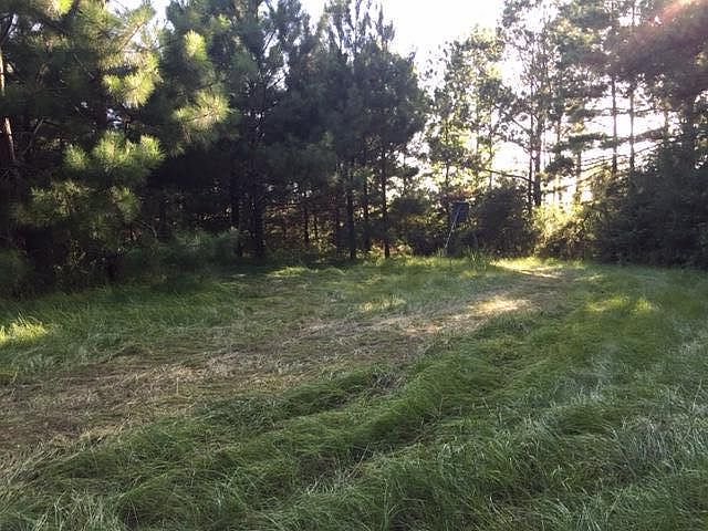 2nd image of 92 Lawrence Reid Rd