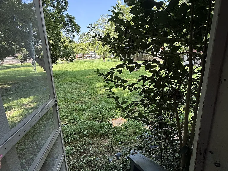524 S Meyer St — Photo 9