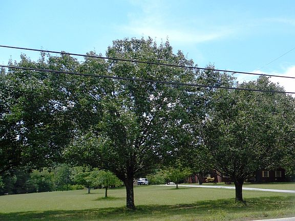 5th image of 500 Old Grove Road
